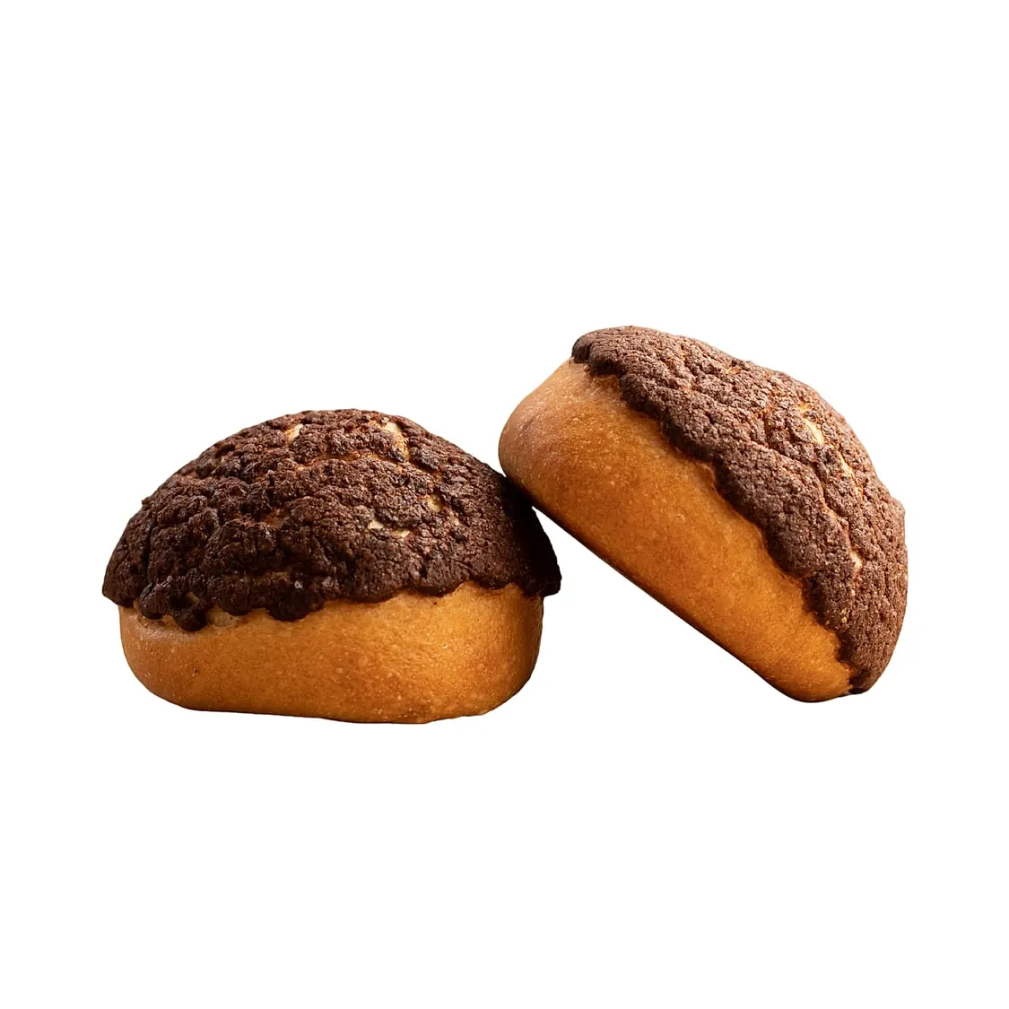 Concha de Chocolate